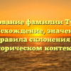 Исследование фамилии Тургенев: происхождение, значение и правила склонения в историческом контексте