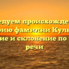 Исследуем происхождение и историю фамилии Кулюкин: значение и склонение по частям речи
