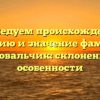 Исследуем происхождение, историю и значение фамилии Коновальчик: склонение и особенности