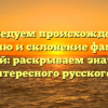 Исследуем происхождение, историю и склонение фамилии Сургай: раскрываем значение этого интересного русского имени