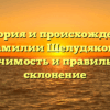 История и происхождение фамилии Шелудякова: значимость и правильное склонение