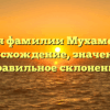 История фамилии Мухамедьяров: происхождение, значения и правильное склонение