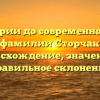 От истории до современности: всё о фамилии Сторчак — происхождение, значение и правильное склонение