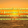 От родословной до грамматики: всё о фамилии Шейде — происхождение, история, значение и склонение