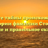 Познайте тайны происхождения и истории фамилии Столер: значение и правильное склонение