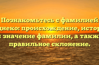 Познакомьтесь с фамилией Суднеко: происхождение, история и значение фамилии, а также правильное склонение.