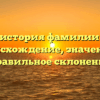 Полная история фамилии Ененко: происхождение, значения и правильное склонение