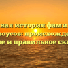 Полная история фамилии Кривоусов: происхождение, значение и правильное склонение