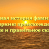 Полная история фамилии Сокиркин: происхождение, значение и правильное склонение