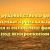 Полное руководство по фамилии Патапенко: происхождение, история и склонение фамилии под микроскопом