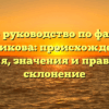 Полное руководство по фамилии Пятерикова: происхождение и история, значения и правильное склонение