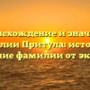 Происхождение и значение фамилии Притула: история и склонение фамилии от экспертов