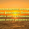 Происхождение, история и значение фамилии Пилипейко: узнайте все о склонении и наследии этого редкого имени