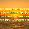 Происхождение, история и значение фамилии Профе: все, что нужно знать о склонении этого редкого французского имени