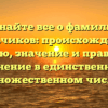 Узнайте все о фамилии Мальчиков: происхождение, историю, значение и правильное склонение в единственном и множественном числе