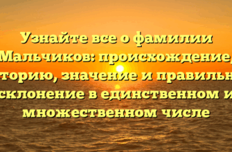Узнайте все о фамилии Мальчиков: происхождение, историю, значение и правильное склонение в единственном и множественном числе