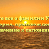 Узнайте все о фамилии Ульмар: история, происхождение, значение и склонение