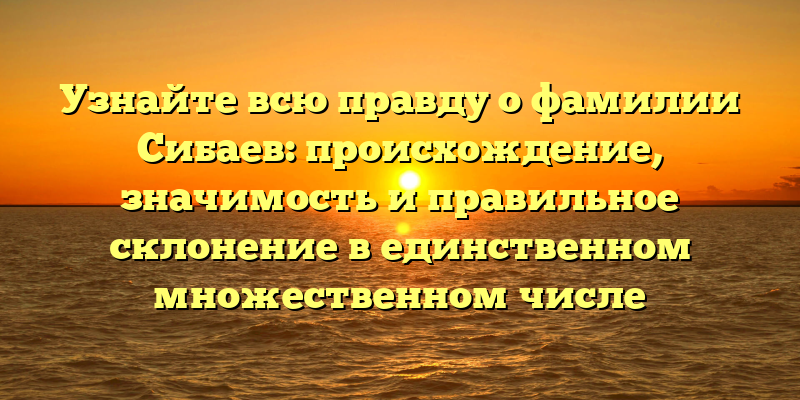Узнайте всю правду о фамилии Сибаев: происхождение, значимость и правильное склонение в единственном множественном числе