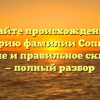Узнайте происхождение и историю фамилии Сопко, ее значение и правильное склонение — полный разбор