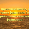 Узнайте происхождение, историю и значение фамилии Гижа, а также правильное склонение этой фамилии!