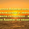 Фамилия Адамас: история происхождения и значение, правила склонения – все о фамилии Адамас на нашем сайте