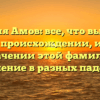 Фамилия Амов: все, что вы хотели знать о происхождении, истории и значении этой фамилии + склонение в разных падежах!