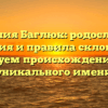 Фамилия Баглюк: родословная, значения и правила склонения — исследуем происхождение этого уникального имени