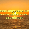 Фамилия Бакуридзе: история, происхождение и секреты склонения.