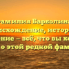 Фамилия Барболина: происхождение, история и значение — всё, что вы хотели знать о этой редкой фамилии