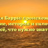 Фамилия Барри: происхождение и значение, история и склонение – всё, что нужно знать