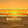 Фамилия Баукова: все о происхождении, истории, значении и склонении этой фамилии