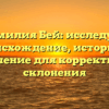 Фамилия Бей: исследуем происхождение, историю и значение для корректного склонения