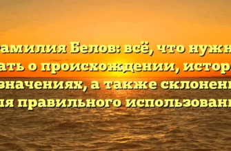 Фамилия Белов: всё, что нужно знать о происхождении, истории и значениях, а также склонении для правильного использования