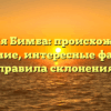 Фамилия Бимба: происхождение и значение, интересные факты и правила склонения