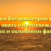 Фамилия Богормистров: все, что нужно знать о происхождении, истории и склонении фамилии