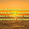 Фамилия Болквадзе: история и происхождение, особенности склонения и значение имени для генеалогических исследований