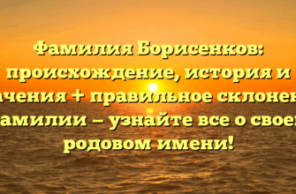 Фамилия Борисенков: происхождение, история и значения + правильное склонение фамилии — узнайте все о своем родовом имени!