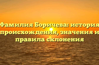 Фамилия Боричева: история происхождения, значения и правила склонения Фамилия Боричева: история происхождения, значения и правила склонения