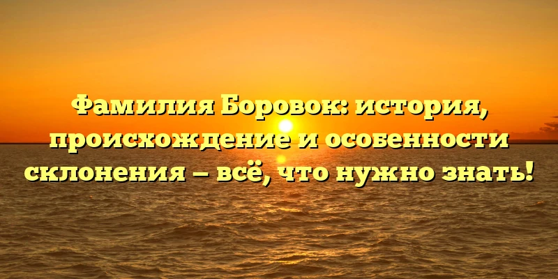 Фамилия Боровок: история, происхождение и особенности склонения — всё, что нужно знать! Фамилия Боровок: история, происхождение и особенности склонения — всё, что нужно знать!