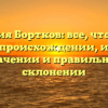 Фамилия Бортков: все, что нужно знать о происхождении, истории, значении и правильном склонении