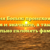 Фамилия Босых: происхождение, история и значение, а также как правильно склонять фамилию