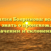 Фамилия Бояринова: все, что нужно знать о происхождении, значении и склонении