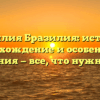 Фамилия Бразилия: история, происхождение и особенности склонения — все, что нужно знать