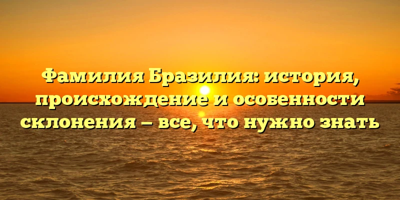 Фамилия Бразилия: история, происхождение и особенности склонения — все, что нужно знать