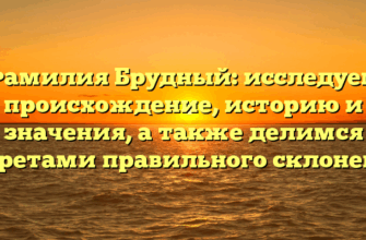 Фамилия Брудный: исследуем происхождение, историю и значения, а также делимся секретами правильного склонения