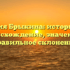Фамилия Брыкина: историческое происхождение, значение и правильное склонение