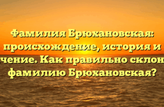 Фамилия Брюхановская: происхождение, история и значение. Как правильно склонять фамилию Брюхановская? Фамилия Брюхановская: происхождение, история и значение. Как правильно склонять фамилию Брюхановская?