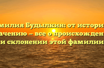 Фамилия Будылкин: от истории к значению — все о происхождении и склонении этой фамилии
