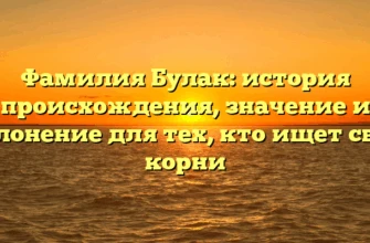 Фамилия Булак: история происхождения, значение и склонение для тех, кто ищет свои корни