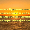 Фамилия Буренок: история происхождения и значение, правильное склонение и интересные факты.